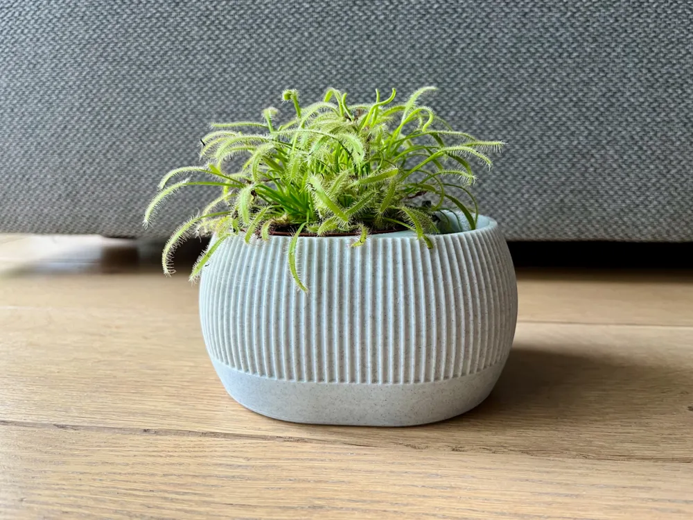 Self-watering Plant Pot
